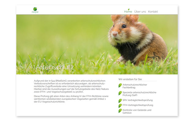 Webdesign Landschaftsplanung Merger